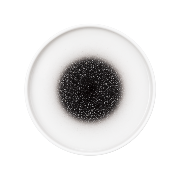 Teller flach rund 16 cm M5397-16 Good Mood intense spotted black 10887