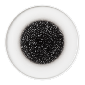 Teller flach rund 26 cm M5397-26 Good Mood intense spotted black 10887