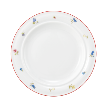 Teller flach 20 cm Fahne Community Streublume rote Linie 57388