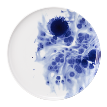 Teller flach 27,5 cm Sento Ocean 58411