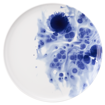 Teller flach 30 cm Sento Ocean 58411