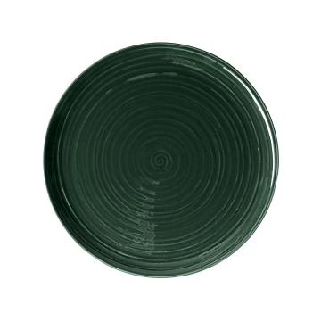 Speiseteller rund 31 cm Terra Moosgrün uni